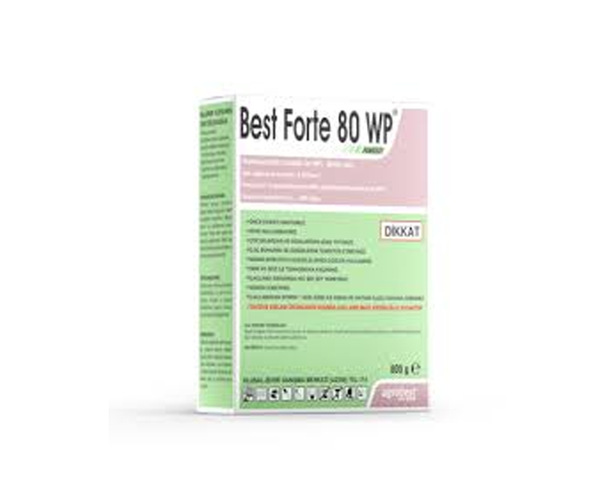 Best Forte 80 WP - fungisit