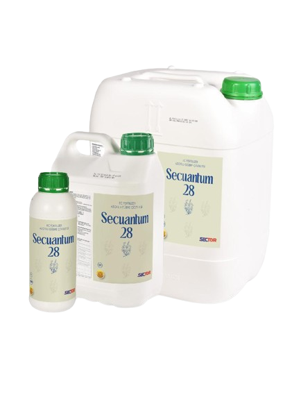 Secuantum 28