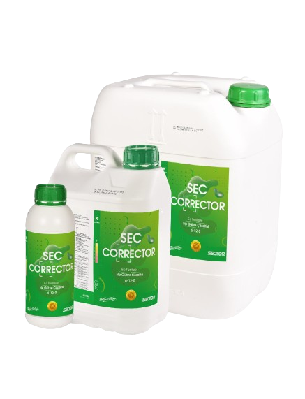 Sec Corrector 6-12-0
