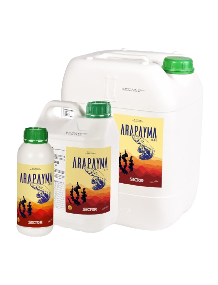 Arapayma 10-0-5