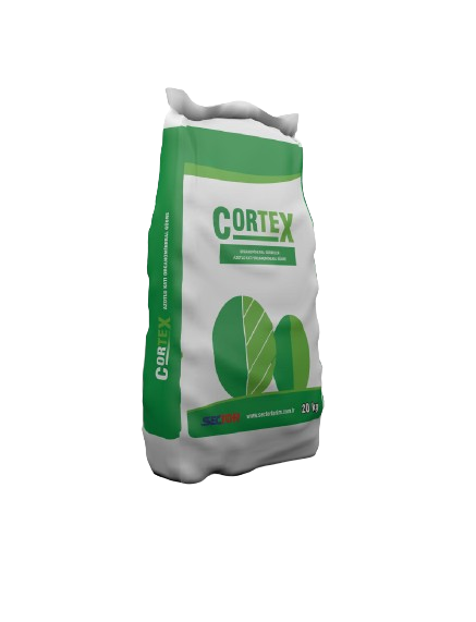Cortex
