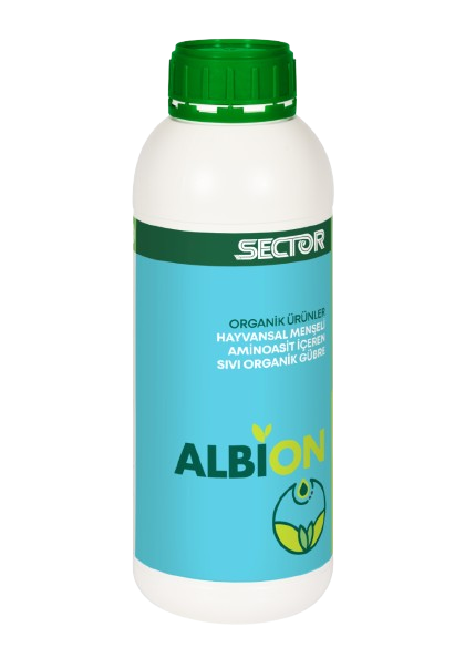 Albion